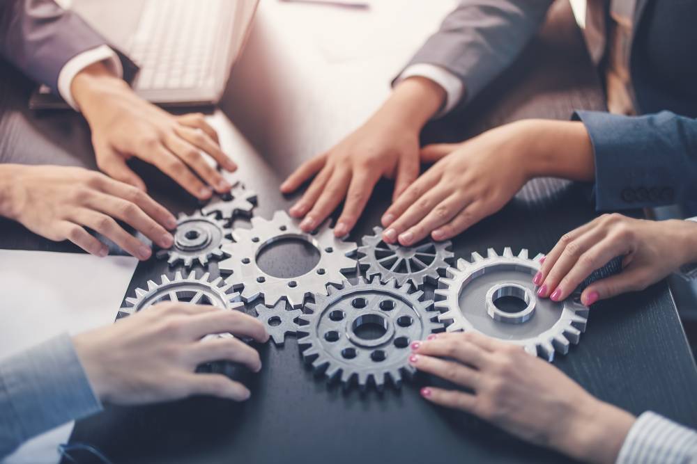 conseils et assistance des entreprises